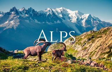 Find a holiday home in the French Alps, South of France