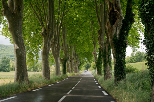 driving_in_france_1_south_france_holiday_villas