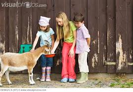 cactus_park_bessan_1_south_france_holiday_villas