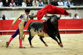 nimes_2_south_france_holiday_villas