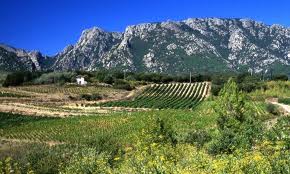 haut_languedoc_2_south_france_holiday_villas