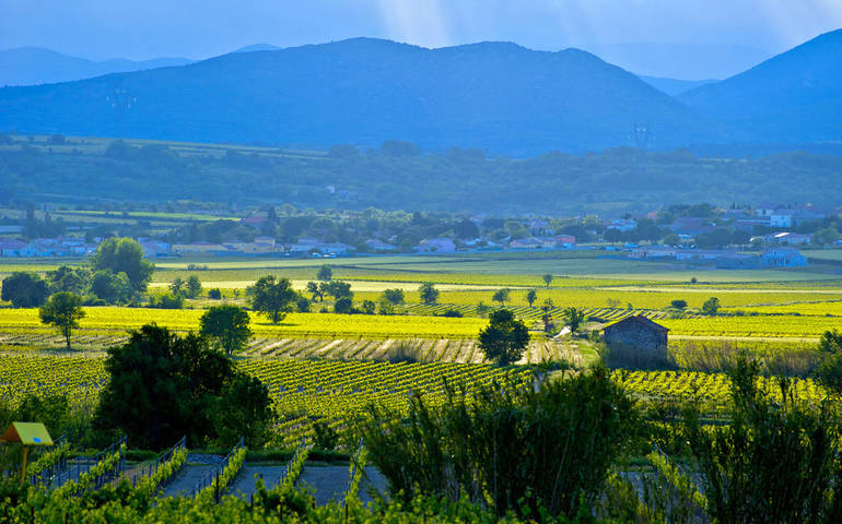 haut-languedoc_1_south_france_holiday_villas_770x480