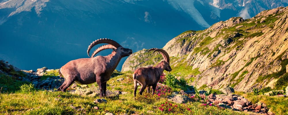 Mountain views of the French Alps
