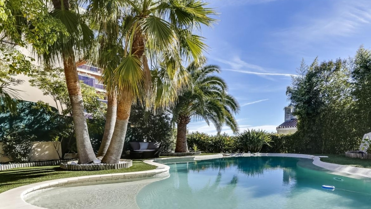 Holiday villa with beautiful private pool and palm trees in the South of France